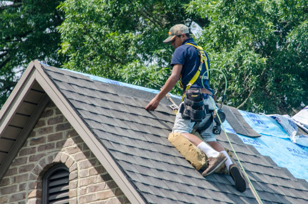 Best Roof Waterproofing Services  in Burbank, CA